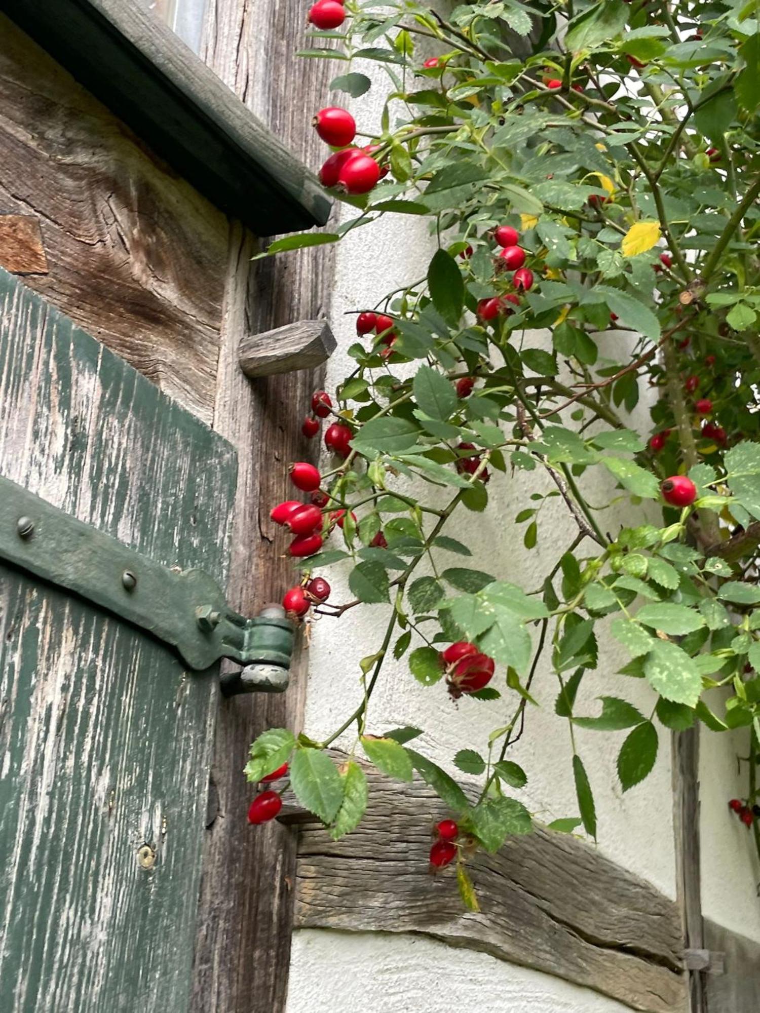 Cherrytree Cottage 1840 Heimbach Eksteriør bilde
